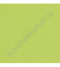 Кардсток текстурированный Салатовый, 30.5х30.5 см, 216 гр/м