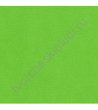 Кардсток текстурированный Ярко-зеленый, 30.5х30.5 см, 216 гр/м