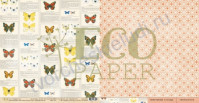 Бумага для скрапбукинга двусторонняя коллекция Атлас бабочек, 30.5х30.5 см, 250 гр/м, лист Определитель